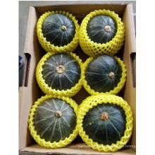 High Quality New Crop Puppkin From China Wholesale